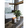 Bridgewater Candle Company Afternoon Retreat Vonná svíčka 175 g, obrázek 5