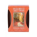 Bridgewater Candle Company Autumn Stroll Votivní svíčka 56 g, obrázek 2