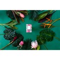 Greenleaf Tropical Orchid Vonný sáček 115 ml, obrázek 2