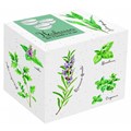 Easy Life Herbarium Sada porcelánových misek 3 ks, obrázek 3