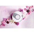 Greenleaf Prosecco Plum Vonná svíčka velká 369 g, obrázek 5