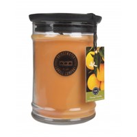 Bridgewater Candle Company Orange Vanilla Vonná svíčka skleněná dóza 524 g