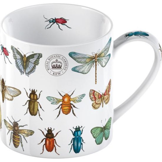 Creative Tops Royal Botanic Gardens Kew Mugs & Travel Mugs Bug Study Porcelánový hrnek 330 ml