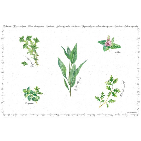 Easy Life Herbarium Plastové prostírání 45 x 30 cm