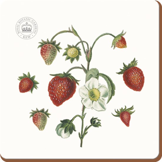 Creative Tops Royal Botanic Gardens Kew Strawberry Fayre Korkové prostírání pod hrníčky 10 x 10 cm